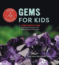 bokomslag Gems for Kids