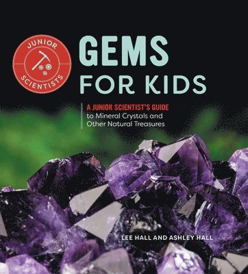 bokomslag Gems for Kids