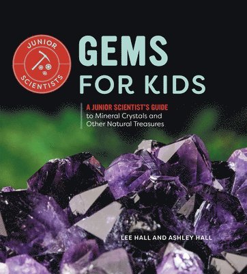 bokomslag Gems for Kids: A Junior Scientist's Guide to Mineral Crystals and Other Natural Treasures