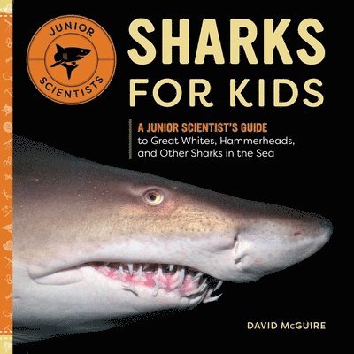 David McGuire, David Mcguire - Sharks for Kids: A Junior Scientist's Guide to Great Whites, Hammerheads, and Other Sharks in the Sea, Inbunden