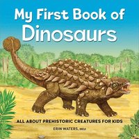 bokomslag My First Book of Dinosaurs