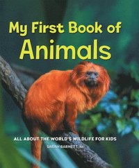 bokomslag My First Book of Animals: All about the World's Wildlife for Kids