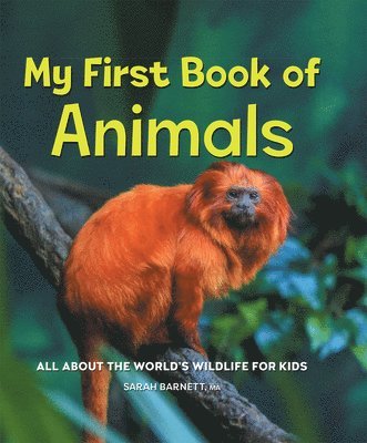 bokomslag My First Book of Animals