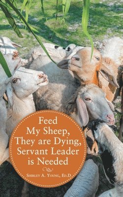 Feed My Sheep, They Are Dying, Servant Leader Is Needed 1