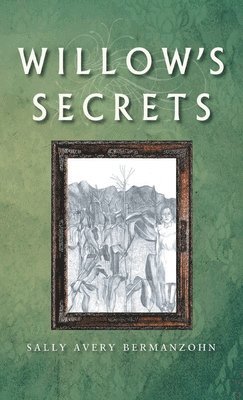 bokomslag Willow's Secrets