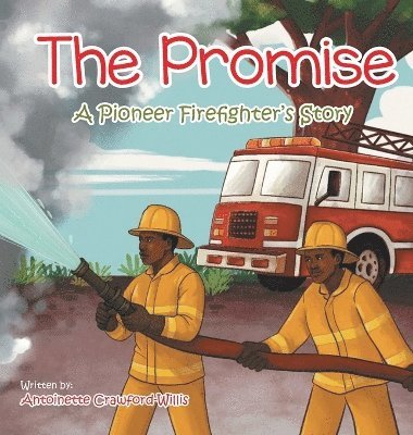 bokomslag Promise