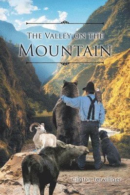 The Valley on the Mountain 1