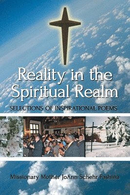 bokomslag Reality in the Spiritual Realm