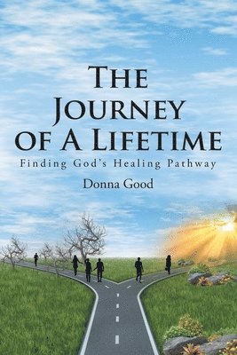 bokomslag Journey of a Lifetime