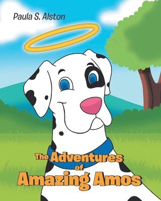 bokomslag Adventures of Amazing Amos