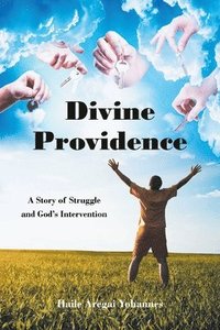 bokomslag Divine Providence