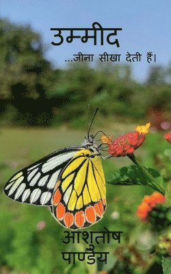Ashutosh Pandey - Umeed / उम्मीद, Häftad