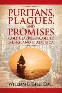 bokomslag Puritans, Plagues, and Promises