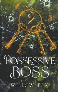 bokomslag Possessive Boss