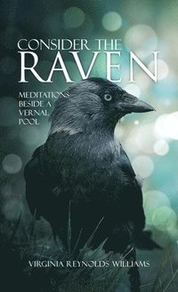 bokomslag Consider The Raven