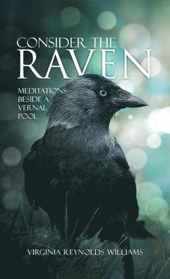 Consider The Raven 1