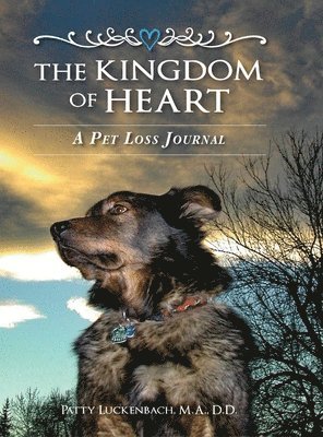 bokomslag Kingdom of Heart