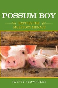 bokomslag Possum Boy