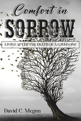 Comfort in Sorrow 1