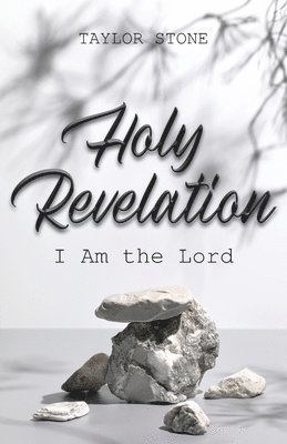 Taylor Stone - Holy Revelation, Häftad