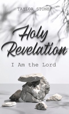 Taylor Stone - Holy Revelation, Inbunden