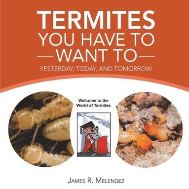 bokomslag Termites You Have to Want To