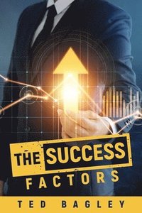 bokomslag Success Factors