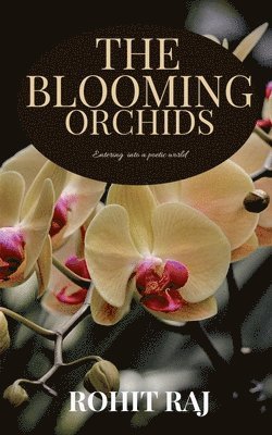Blooming Orchids