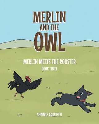 bokomslag Merlin and the Owl;