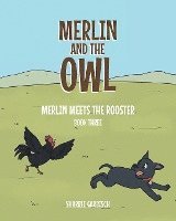 Merlin and the Owl; 1