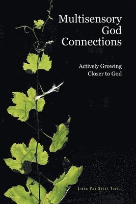 bokomslag Multisensory God Connections