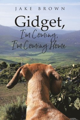 Gidget, I'm Coming, I'm Coming Home 1