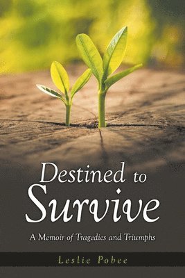 bokomslag Destined to Survive; A Memoir of Tragedies and Triumphs