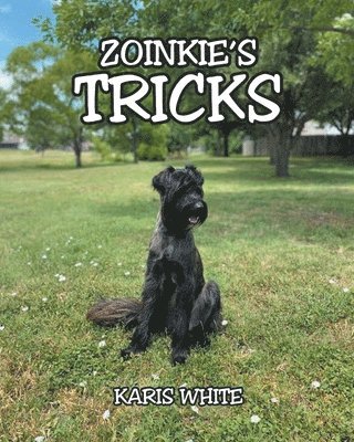 Zoinkie's Tricks 1