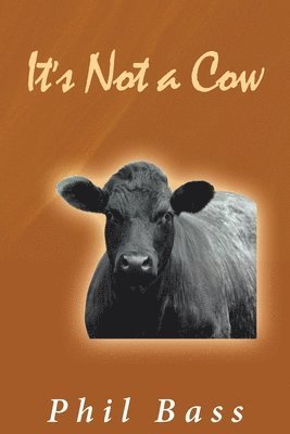 bokomslag It's Not a Cow