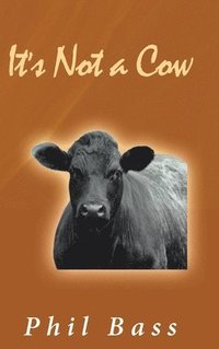 bokomslag It's Not a Cow