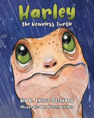 Harley the Homeless Turtle 1