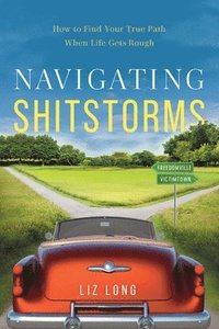 bokomslag Navigating Shitstorms