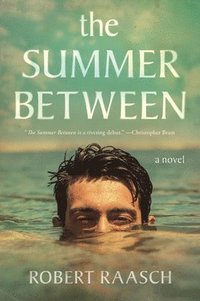 bokomslag The Summer Between
