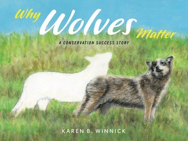 bokomslag Why Wolves Matter