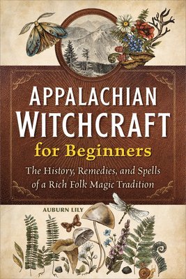 bokomslag Appalachian Witchcraft for Beginners