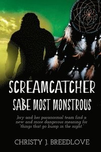 bokomslag Screamcatcher