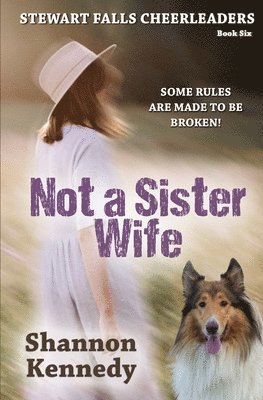 Not A Sister Wife 1