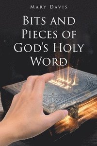 bokomslag Bits And Pieces Of God's Holy Word
