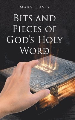 bokomslag Bits And Pieces Of God's Holy Word