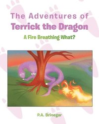 bokomslag The Adventures of Terrick the Dragon