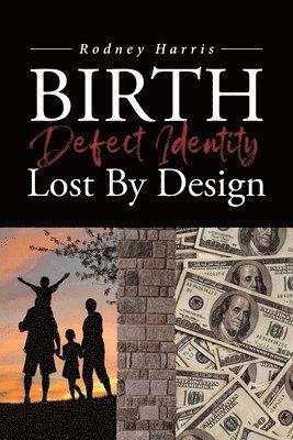 bokomslag Birth Defect Identity Lost By Design