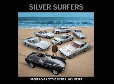 bokomslag Silver Surfers