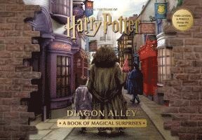 Harry Potter: Diagon Alley 1