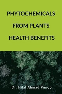 bokomslag Phytochemicals from Plants Health Benefits